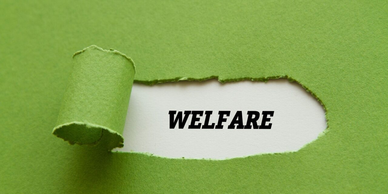 Aziende post covid: come cambia il welfare